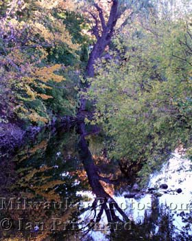 Photograph of Mirror Tree from www.MilwaukeePhotos.com (C) Ian Pritchard